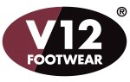 V12 Logo