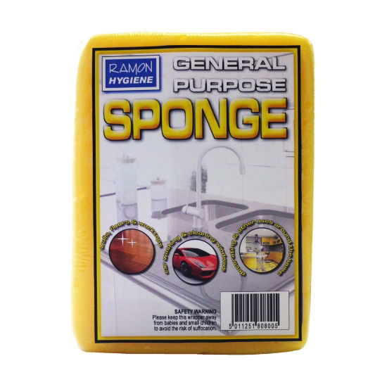 Large Sponge